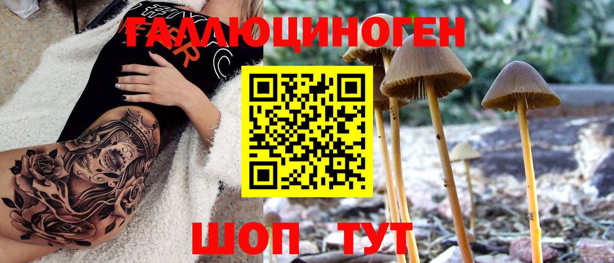 Псилоцибиновые грибы мухоморы Узловая