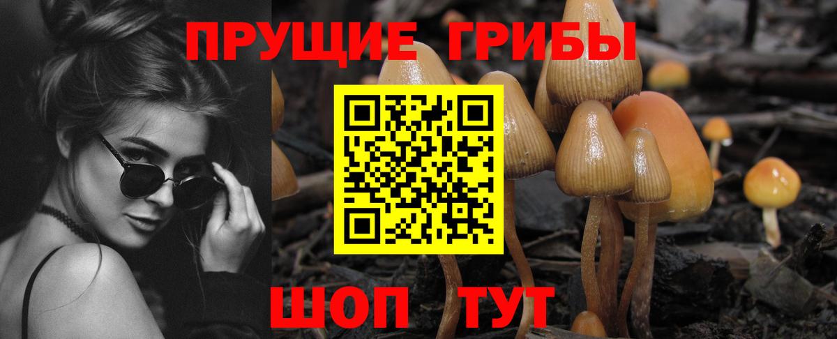 Псилоцибиновые грибы GOLDEN TEACHER  Вход с VPN  Псилоцибиновые грибы Cubensis  Узловая 
